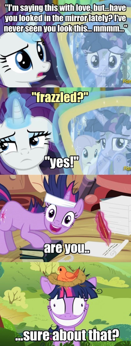 twilight sparkle,rarity,remember