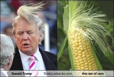 donald trump,totally looks like