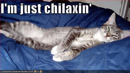 I'm just chilaxin'