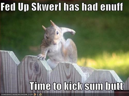 Fed Up Skwerl has had enuff  Time to kick sum butt