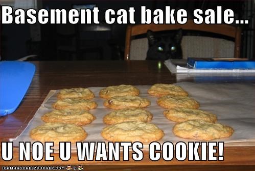 Basement cat bake sale...  U NOE U WANTS COOKIE!