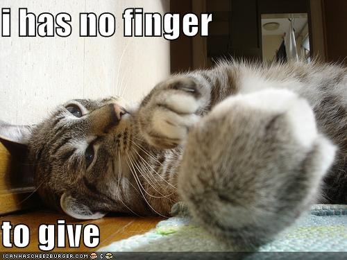 i has no finger  to give