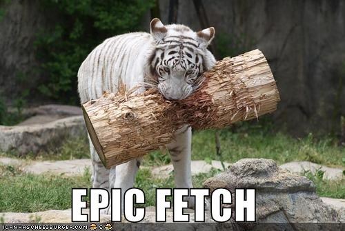EPIC FETCH