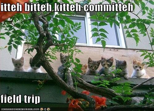 itteh bitteh kitteh committeh  field trip