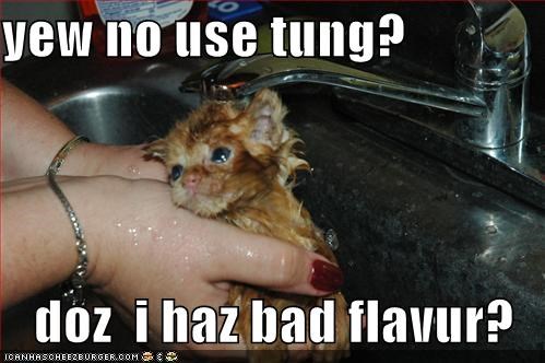 yew no use tung?     doz  i haz bad flavur?