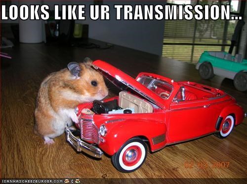 LOOKS LIKE UR TRANSMISSION...