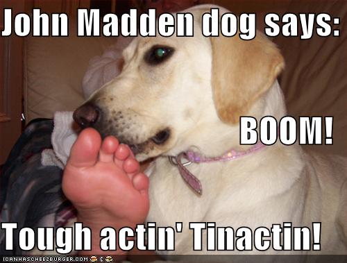 tinactin for dogs