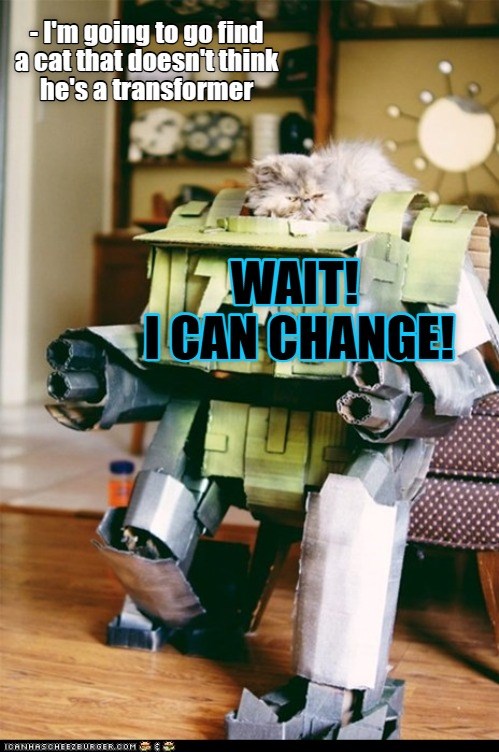 Don't go-bot - Lolcats - lol | cat memes | funny cats | funny cat ...
