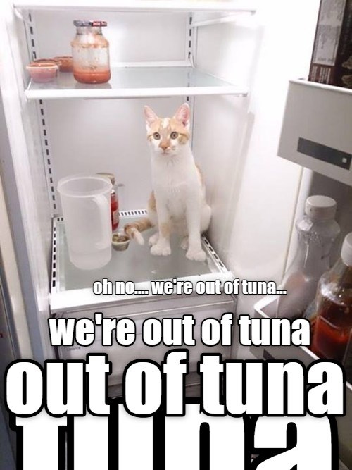 We're out of tuna! - Lolcats - lol | cat memes | funny cats | funny cat ...