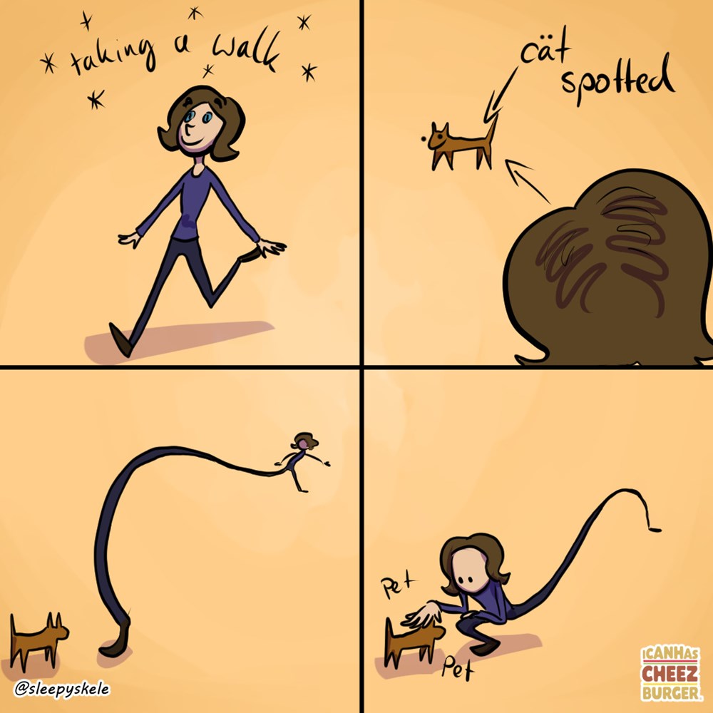 Whenever i see a cat i can has cheezburger 