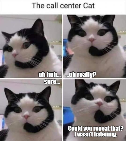 I think I may have spoken to this cat before - Lolcats - lol | cat ...