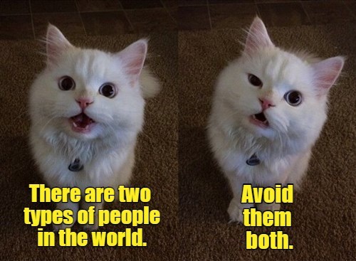 Advice Cat gives good advice - Lolcats - lol | cat memes | funny cats ...