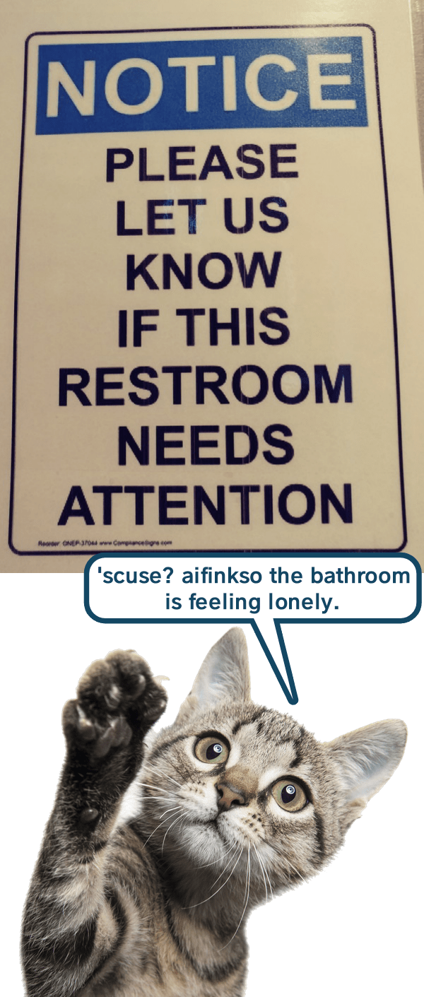 Literal cat - Lolcats - lol | cat memes | funny cats | funny cat