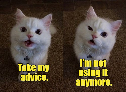 Advice Cat gives good advice. - Lolcats - lol | cat memes | funny cats ...