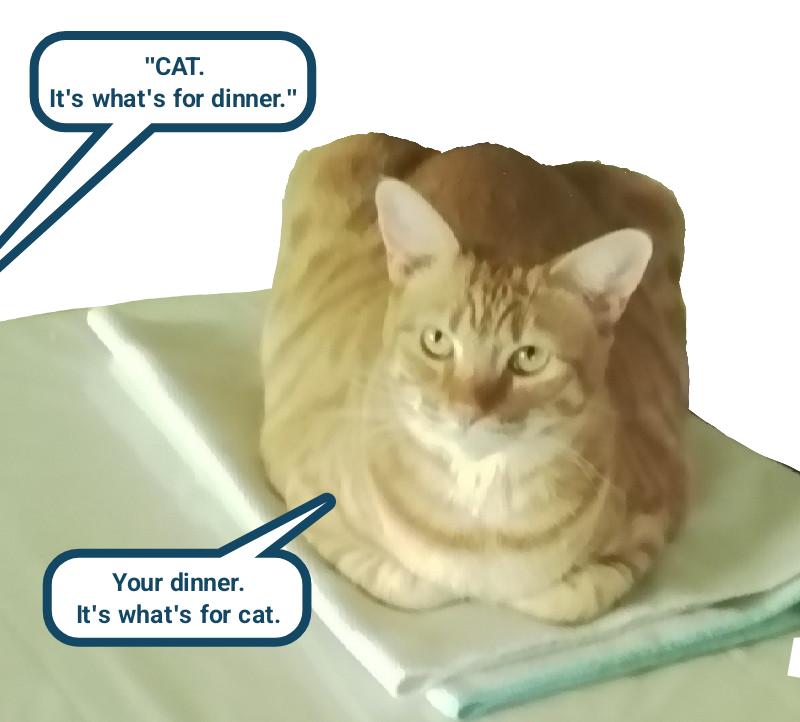 Difference is, the cat is serious - Lolcats - lol | cat memes | funny