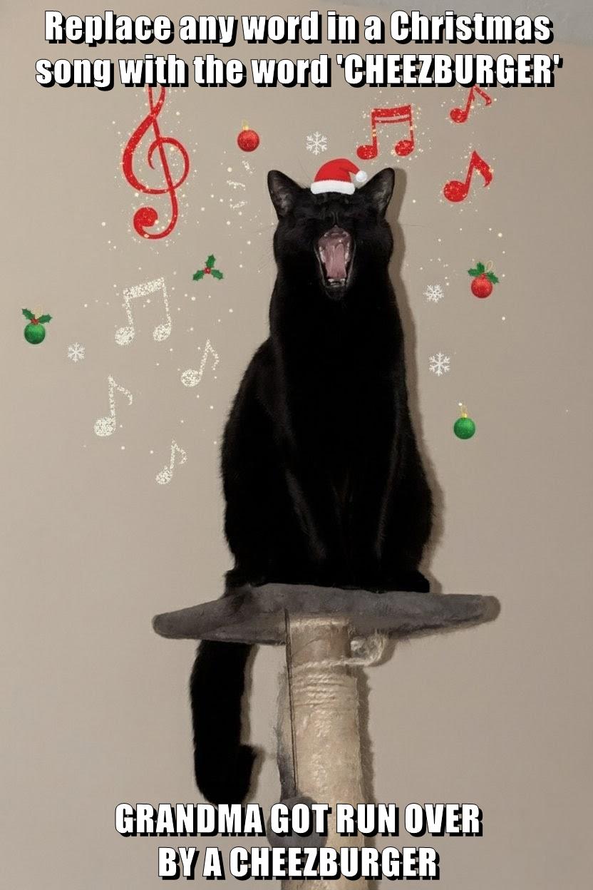 Any Christmas song - Lolcats - lol | cat memes | funny cats | funny cat  pictures with words on them | funny pictures | lol cat memes | lol cats, image size:832x1248