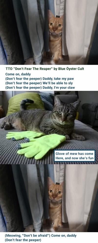 TTO "Don't Fear The Reaper" by Blue Öyster Cult