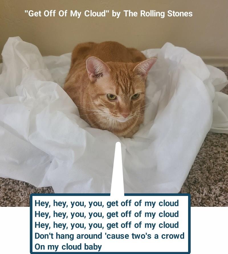 "Get Off Of My Cloud" by The Rolling Stones
