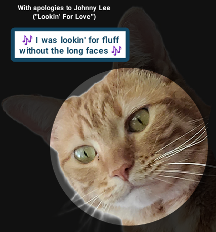 With apologies to Johnny Lee ("Lookin' For Love")