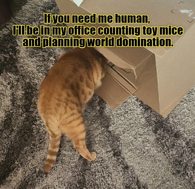 I'll be in my office