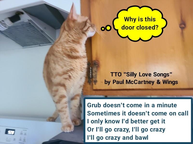 TTO "Silly Love Songs" by Paul McCartney & Wings