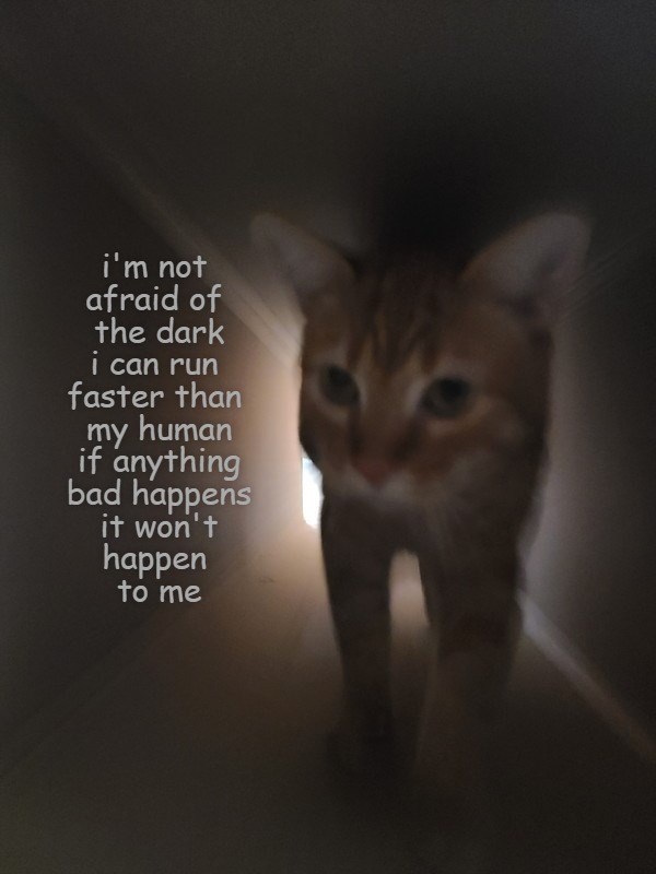 Not afraid of the dark