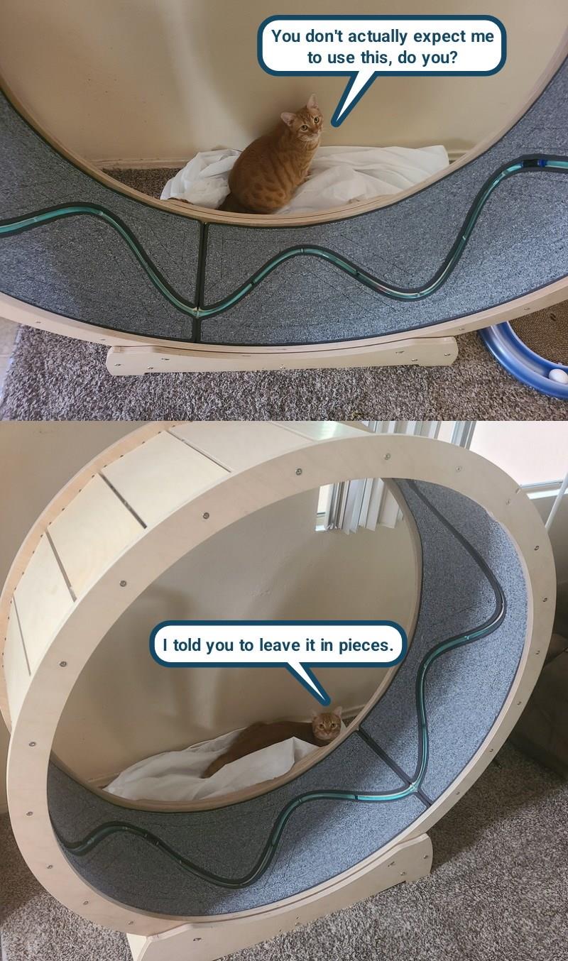 Should have quit while you were ahead