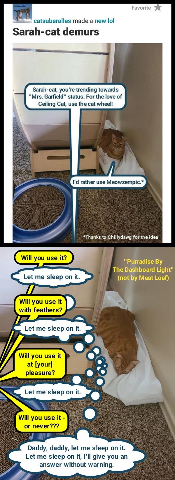 "Purradise By The Dashboard Light" (not by Meat Loaf)