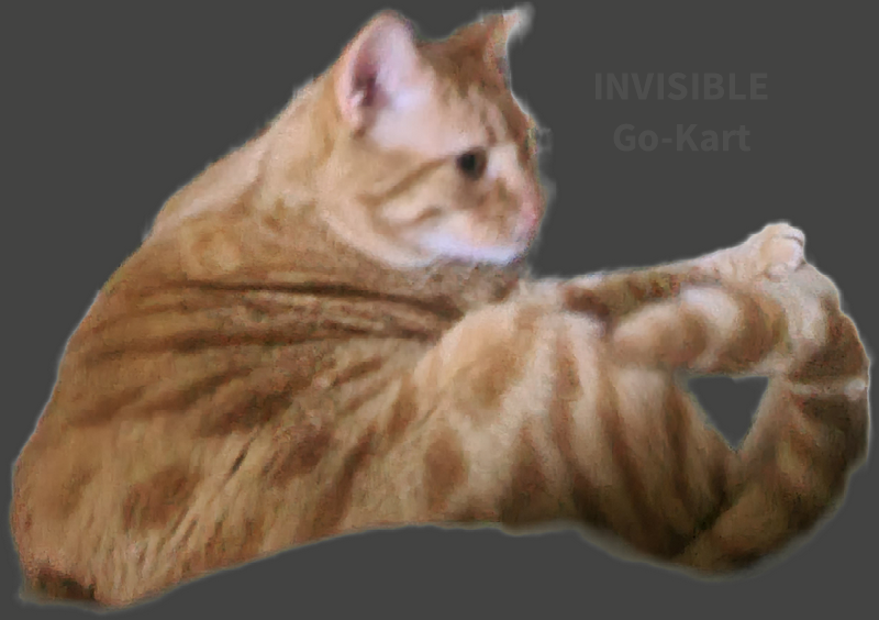Invisible Go-Kart
