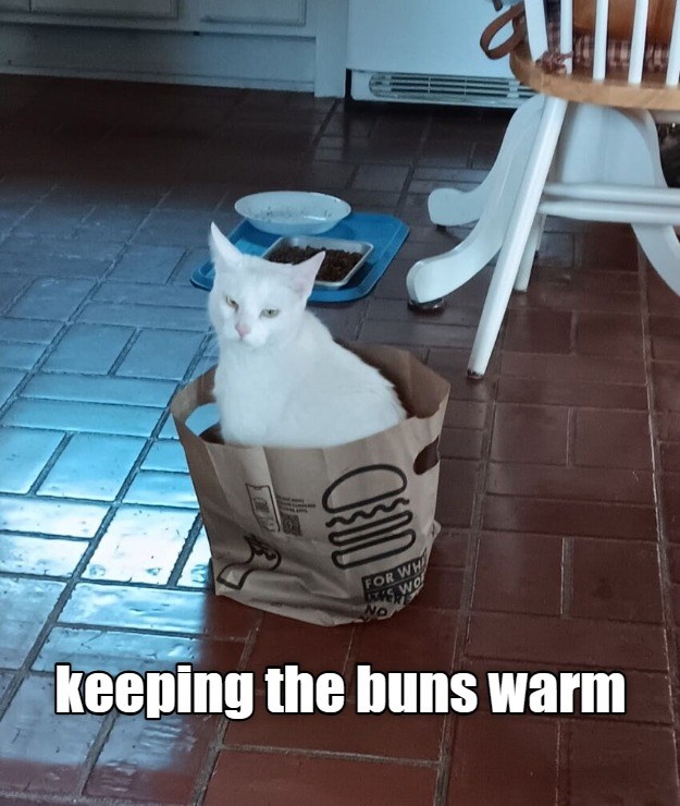 Keeping the buns warm