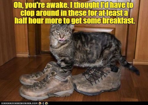 Subtle cat lacks subtlety