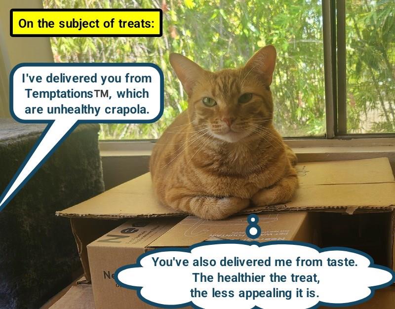 "Catnip & chill" chicken treats leave cat cold