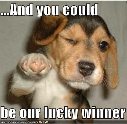 ...And you could be our lucky winner - Cheezburger - Funny Memes ...