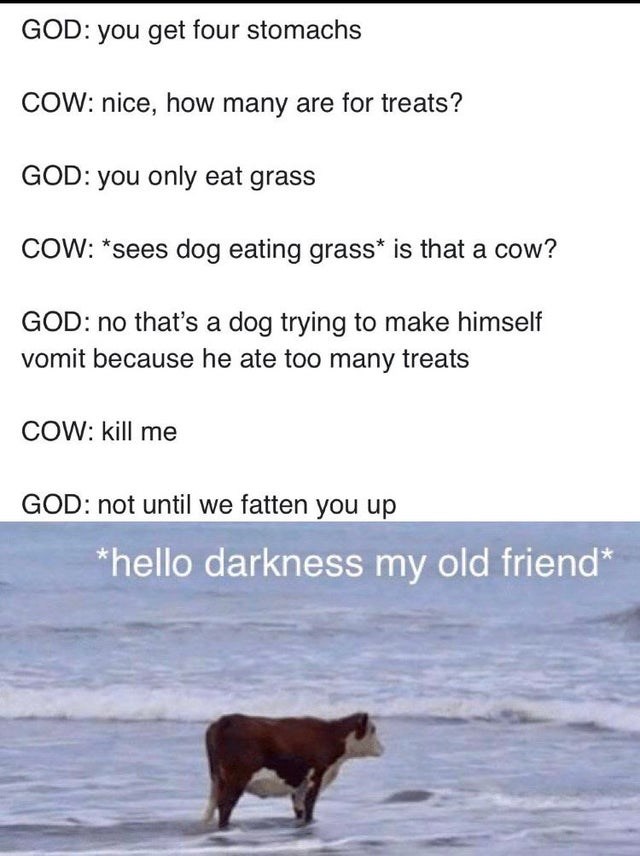 Top 10 Killer Memes Of The Week March 5 Home Made From The Finest Of Internets