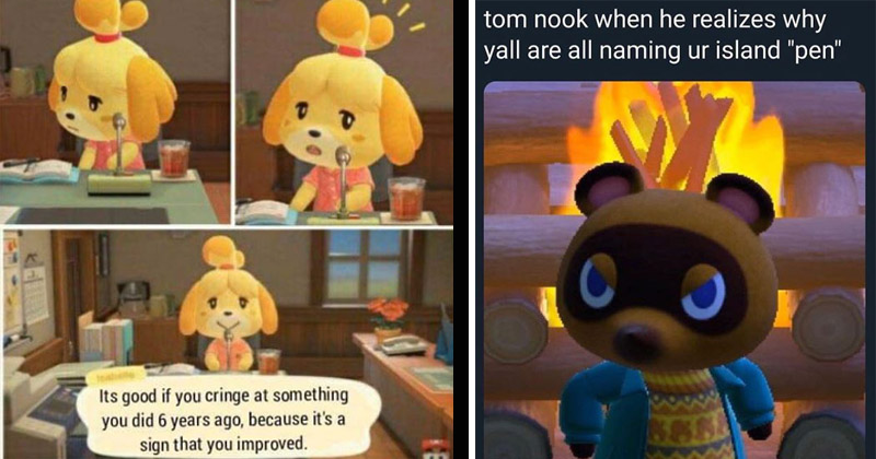 Animal Crossing Rodney Hatred Is Being Replaced With Love