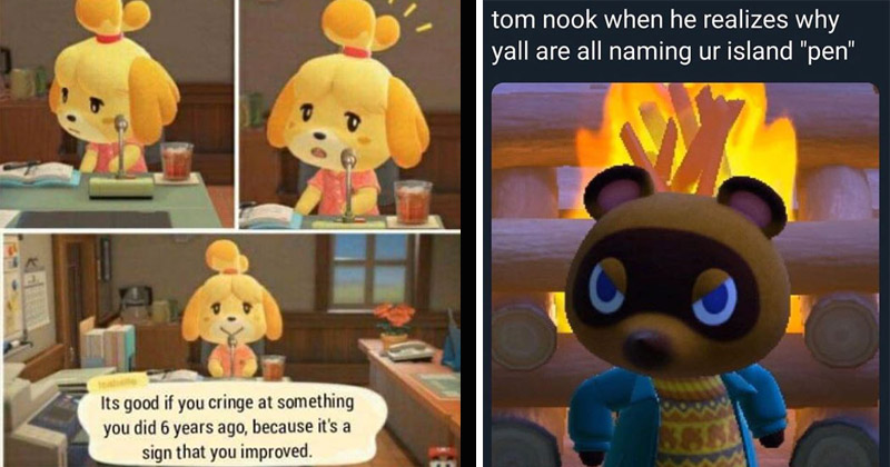 Thirty Four Animal Crossing Memes That May Waste More Time Than Resetti Memebase Funny Memes