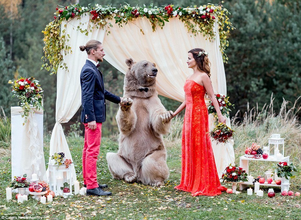 Ok, We Get It of the Day: Wedding Couple's Ringerbearer an Actual Bear ...