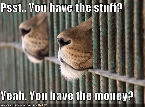 Psst.. You have the stuff? Yeah. You have the money? - Cheezburger - Funny  Memes | Funny Pictures