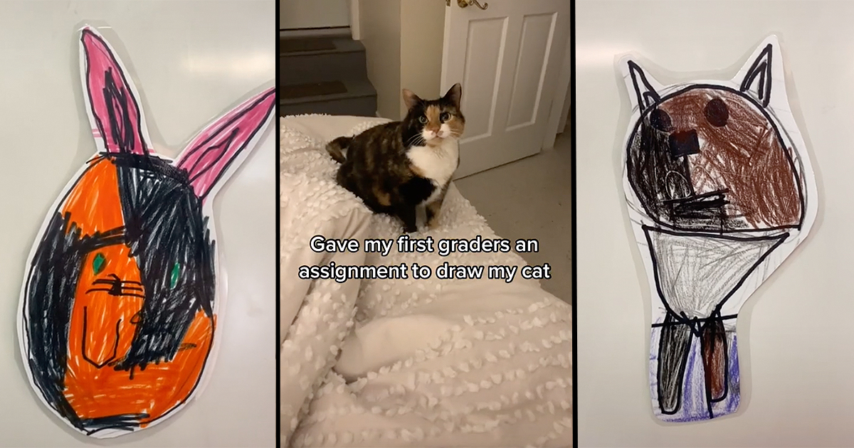 all my funny cat pictures I made for my pfp. I have begun drawing