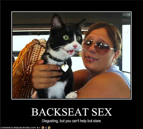 Backseat Sex Cheezburger Funny Memes Funny Pictures