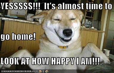 Yesssss It S Almost Time To Go Home Look At How Happy I Am Cheezburger Funny Memes Funny Pictures