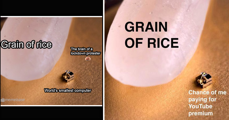 Thirteen Dank Memes Featuring The World S Smallest Computer Next To A Grain Of Rice Memebase Funny Memes