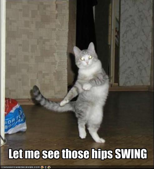 Let Me See Those Hips Swing Cheezburger Funny Memes