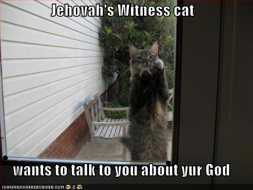 Jehovah's Witness cat wants to talk to you about yur God ...