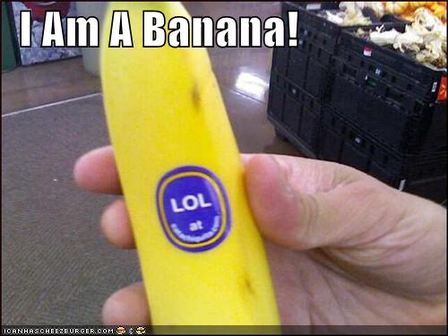 I Am A Banana Cheezburger Funny Memes Funny Pictures