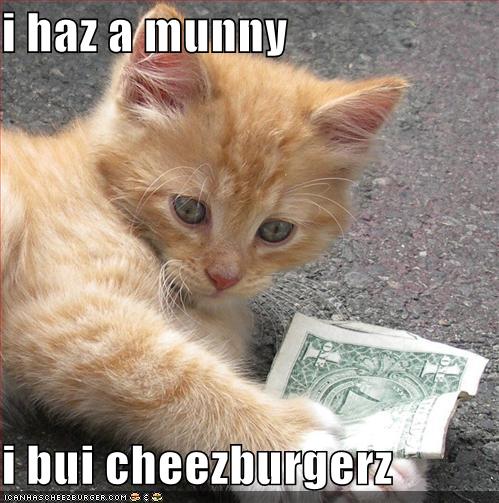 I Haz A Munny I Bui Cheezburgerz Cheezburger Funny Memes Funny Pictures