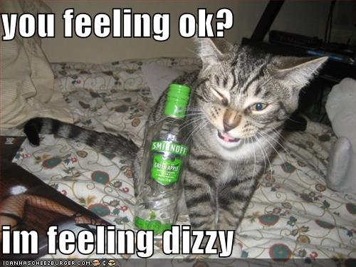 you feeling ok? im feeling dizzy - Cheezburger - Funny ...