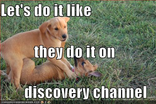 Lets Do It Like They Do It On Discovery Channel