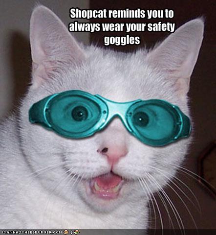 Shopcat reminds you to always wear your safety goggles ...
