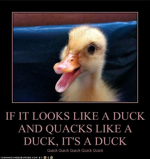 IF IT LOOKS LIKE A DUCK AND QUACKS LIKE A DUCK, IT'S A DUCK ...